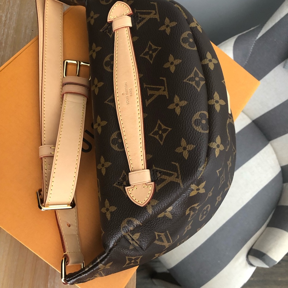 Louis Vuitton Bumbag - Picture 5 of 6